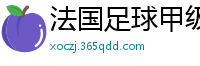 法国足球甲级联赛